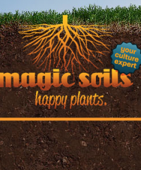 Magic Soils