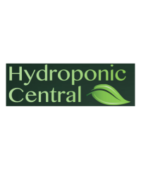 Hydroponic Central / Mirror Paints