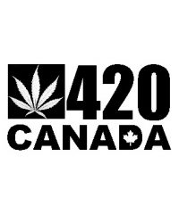 420 Kingston