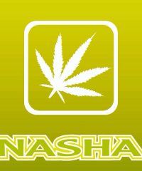Nasha Headshop