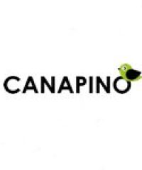 Canapino