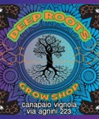 Deep Roots Grow Shop Vignola