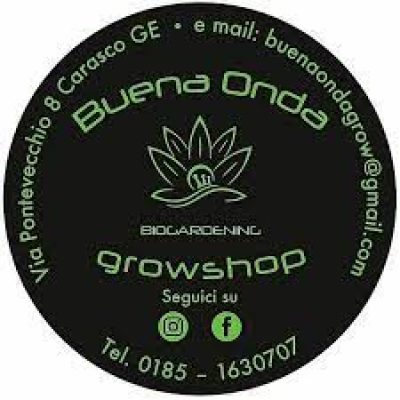 GROWSHOP BUENA ONDA