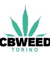 CBWEED TORINO