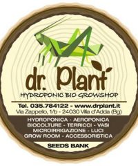 Dr Plant