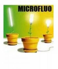 MicroFluo Mons