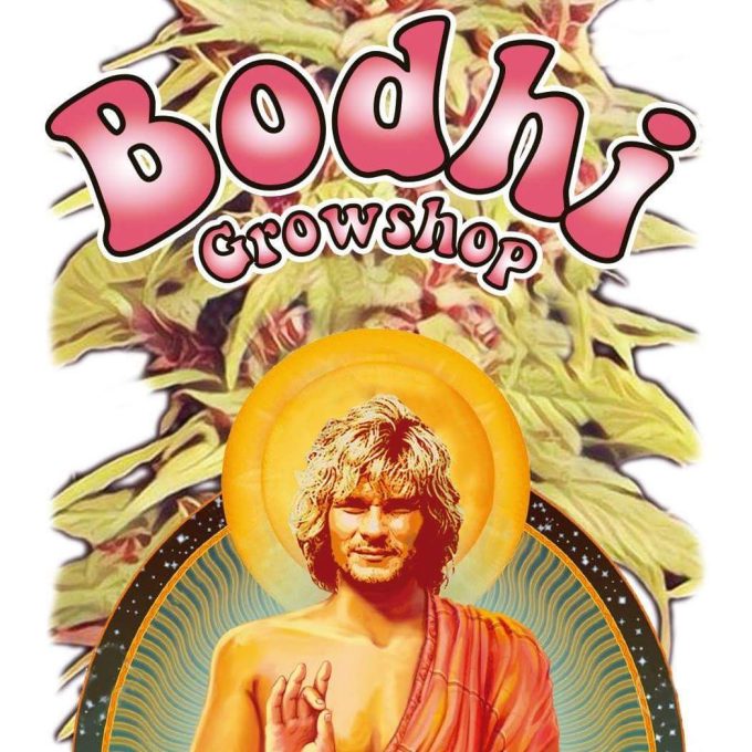 Bodhi Grow