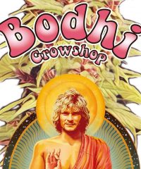 Bodhi Grow