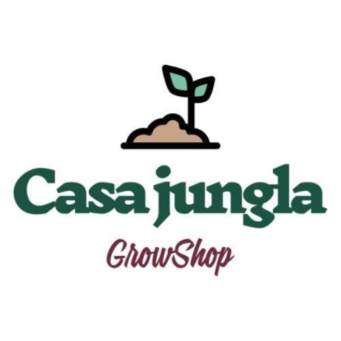 Casa Jungla