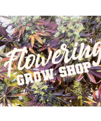 Flowering Grow Shop