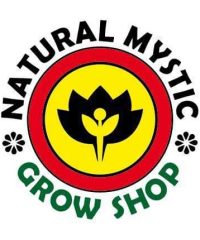 Natural Mystic- Avellaneda