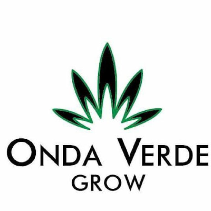 Onda Verde &#8211; Centro