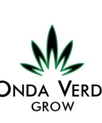 Onda Verde