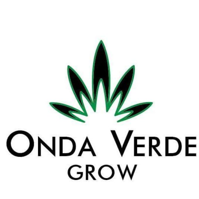 Onda Verde