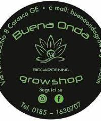 GROWSHOP BUENA ONDA