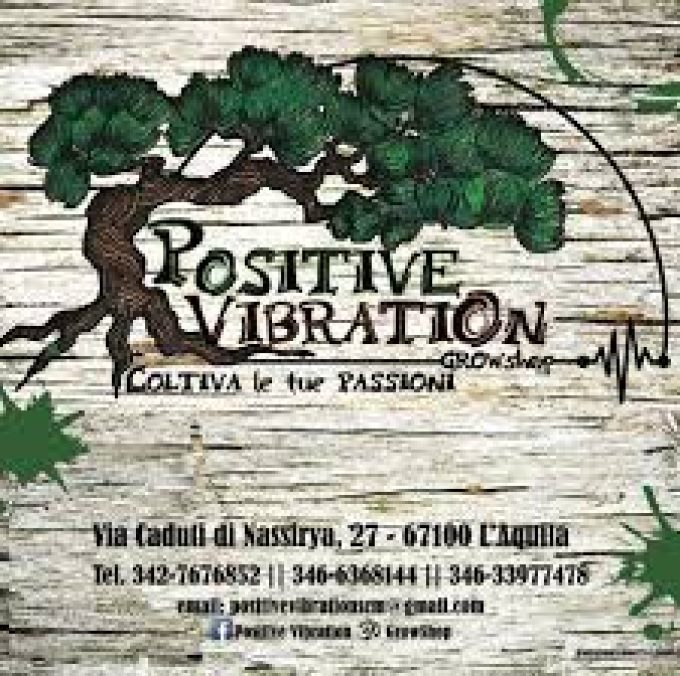 POSITIVE VIBRATION GROWSHOP