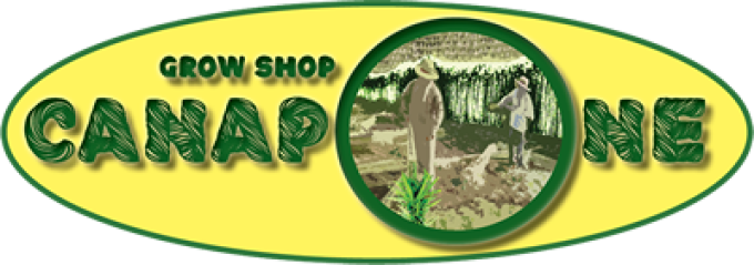 CANAPONE GROWSHOP