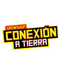 Conexión a Tierra – Recoleta