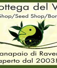 la bottega del verde