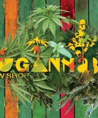 Lugannabis