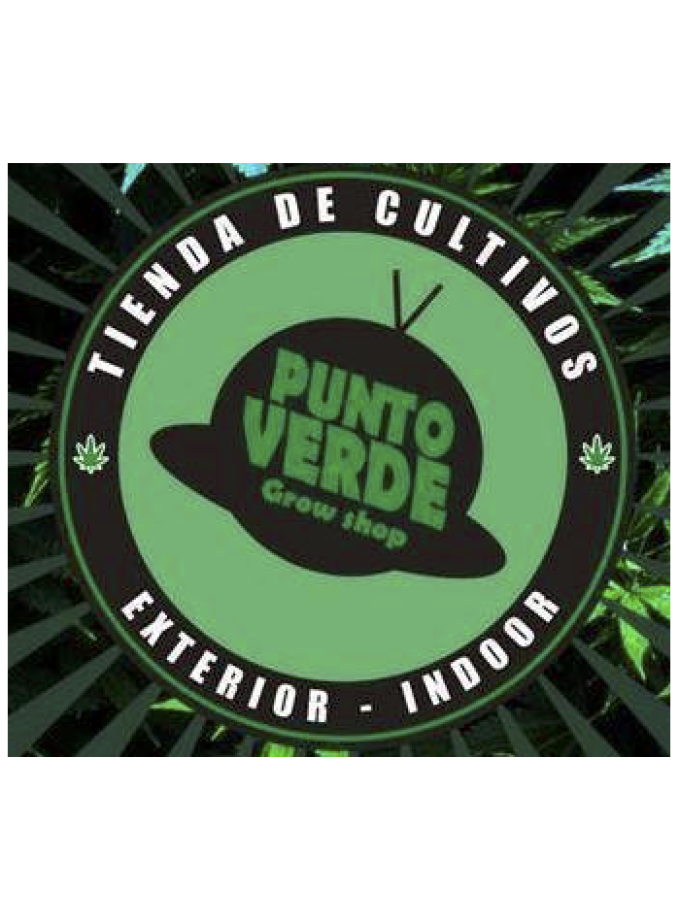 Punto Verde