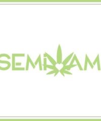 SEMI AMI