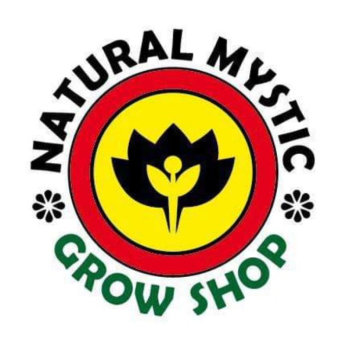 Natural Mystic- Avellaneda