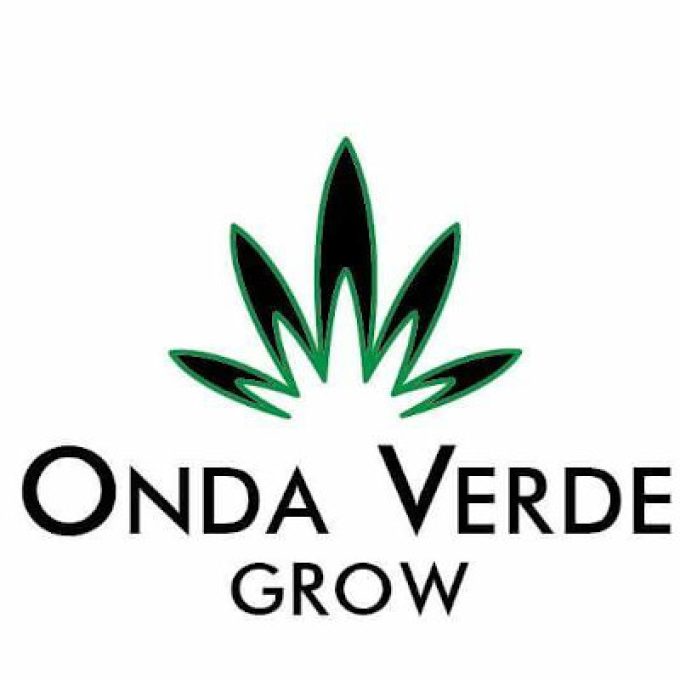 Onda Verde &#8211; Centro
