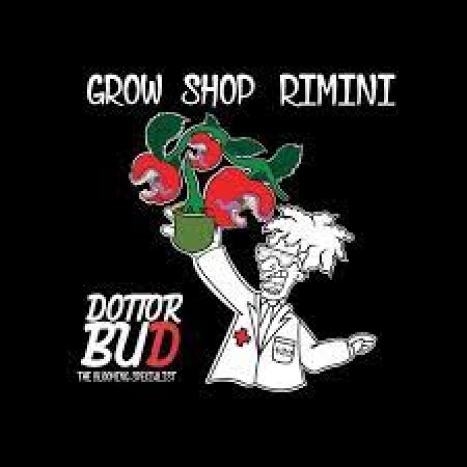 DOTT BUD RIMINI