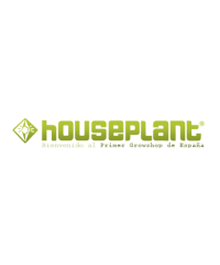 Houseplant