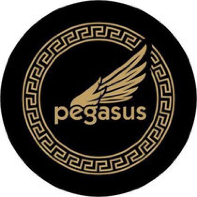 Pegasus Rostock