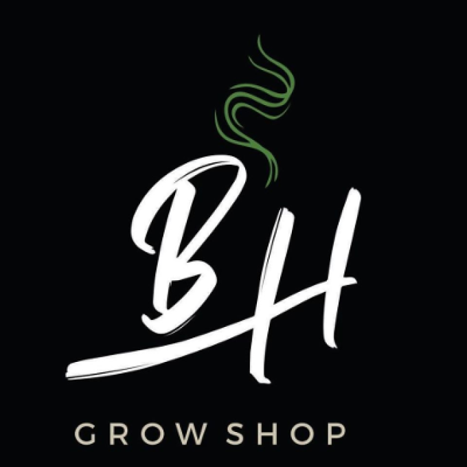 Buenos Humos – Madero