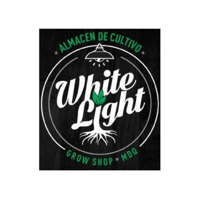 White Light