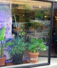 ZOU NO TAMAGO CO.LTD