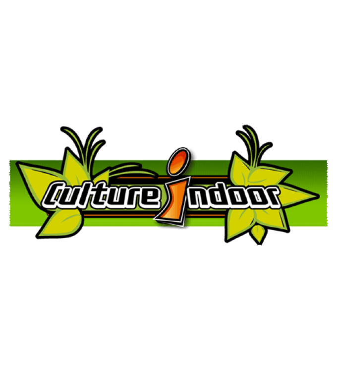 Culture indoor Bruxelles