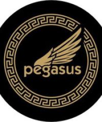 Pegasus Rostock
