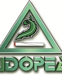 Udopea Bremen
