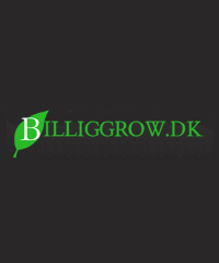 BilligGrow