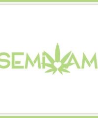 SEMI AMI