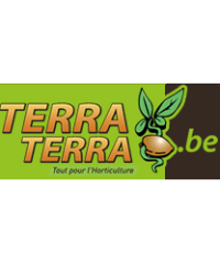 TerraTerra Ixelles