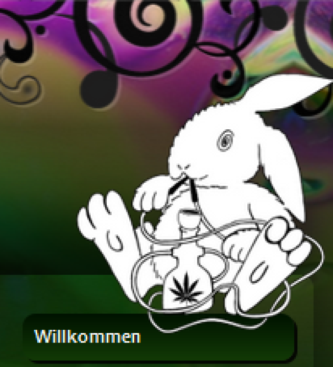 White Rabbit