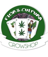 Flor Y Cultura