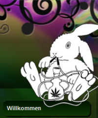 White Rabbit